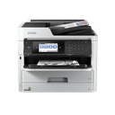 C11CG04402 — variant_0