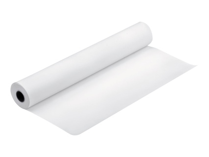 Epson Pap Proofing Blanc Semi-Mat 256g 24" (0,610x30,5m)