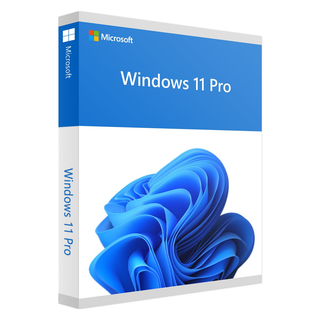 [FQC-10528] Microsoft Win 11 Pro 64Bit Eng Intl 1pk DSP OEI DV