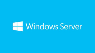 Microsoft MS Windows Svr Std 2019 64Bit French 1pk DSP OEI DVD 16 Core