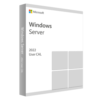 [R18-06431] Microsoft Windows Server CAL 2022 French 1pk DSP O